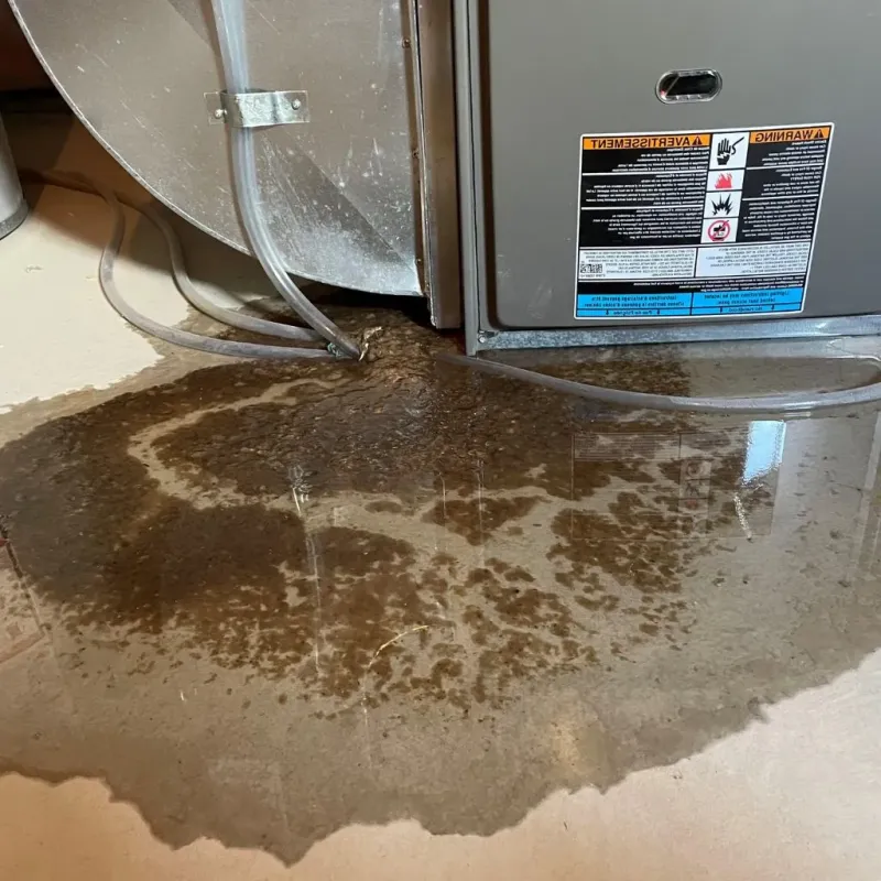 Pipe Burst and Leak Restoration in Yazoo City, MS