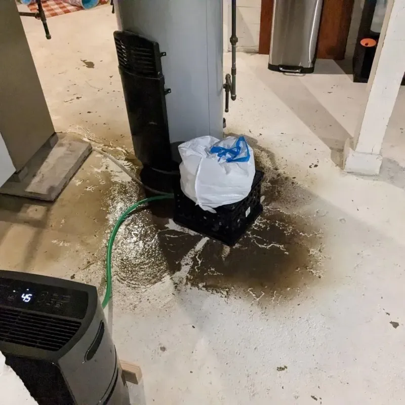 Sewage Backup Cleanup Service in Yazoo City, MS